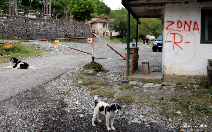Areas like Baița Plai (Bihorului) are known for radioactivity. Photo: Daniel Guță. TRUTH