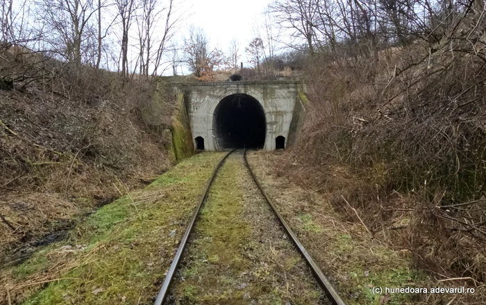 Holdea Tunnel. Photo: Daniel Guță. TRUTH