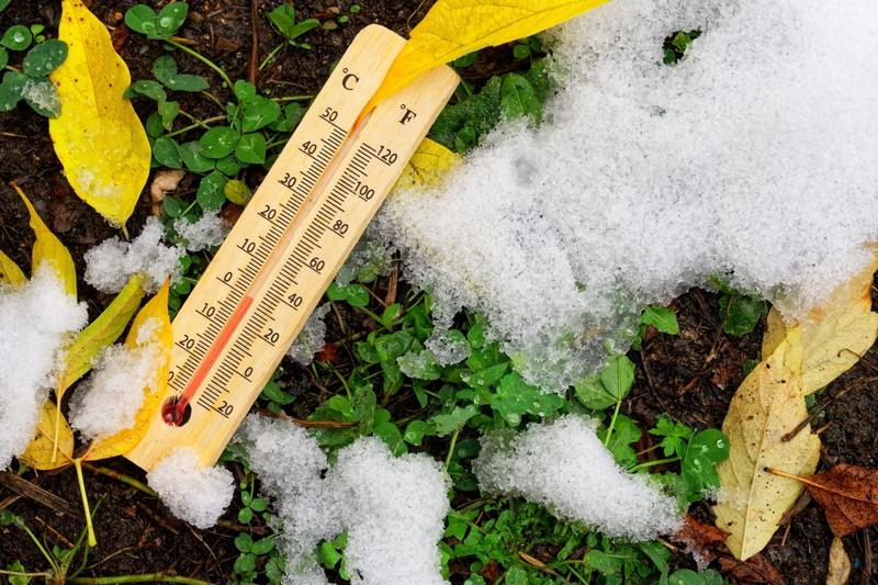 Spring frost, Photo: Shutterstock