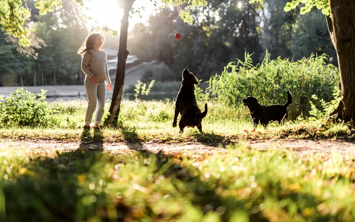 Animal lovers are advised to be cautious in the parks dedicated to them. Photo: Freepik.com