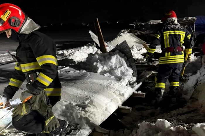 Dozens of animals died after being trapped under the snow PHOTO ISU Prahova