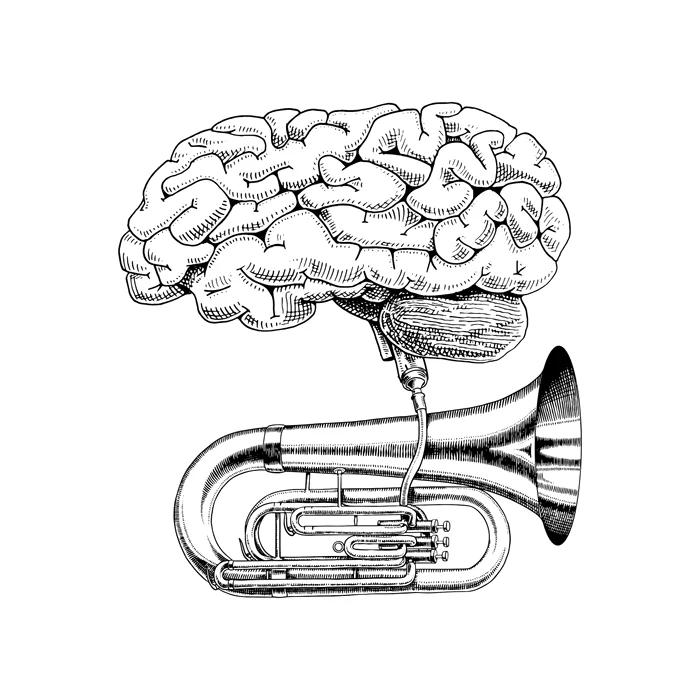 Music has effects on the human brain PHOTO shutterstock