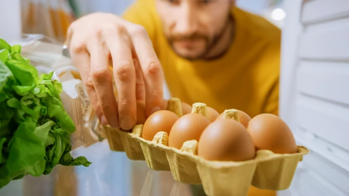 eggs