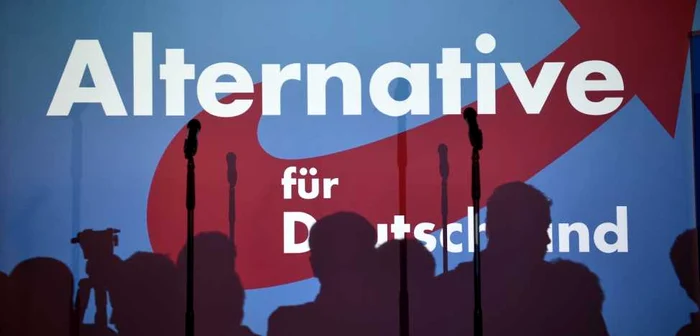 AfD has become the main opposition force in Germany/FOTO:X
