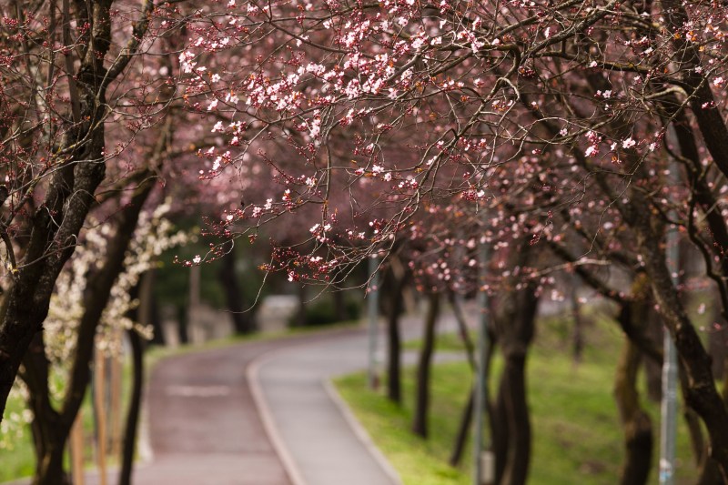 The weather until March 30. ANM announces temperatures different from the normal for the period, throughout the country
