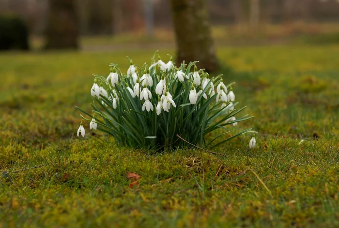 The weather is expected to be warm in the first week of spring PHOTO Pixabay