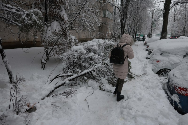 Teenage girl electrocuted on the street after a tree fell on power lines in Bucharest