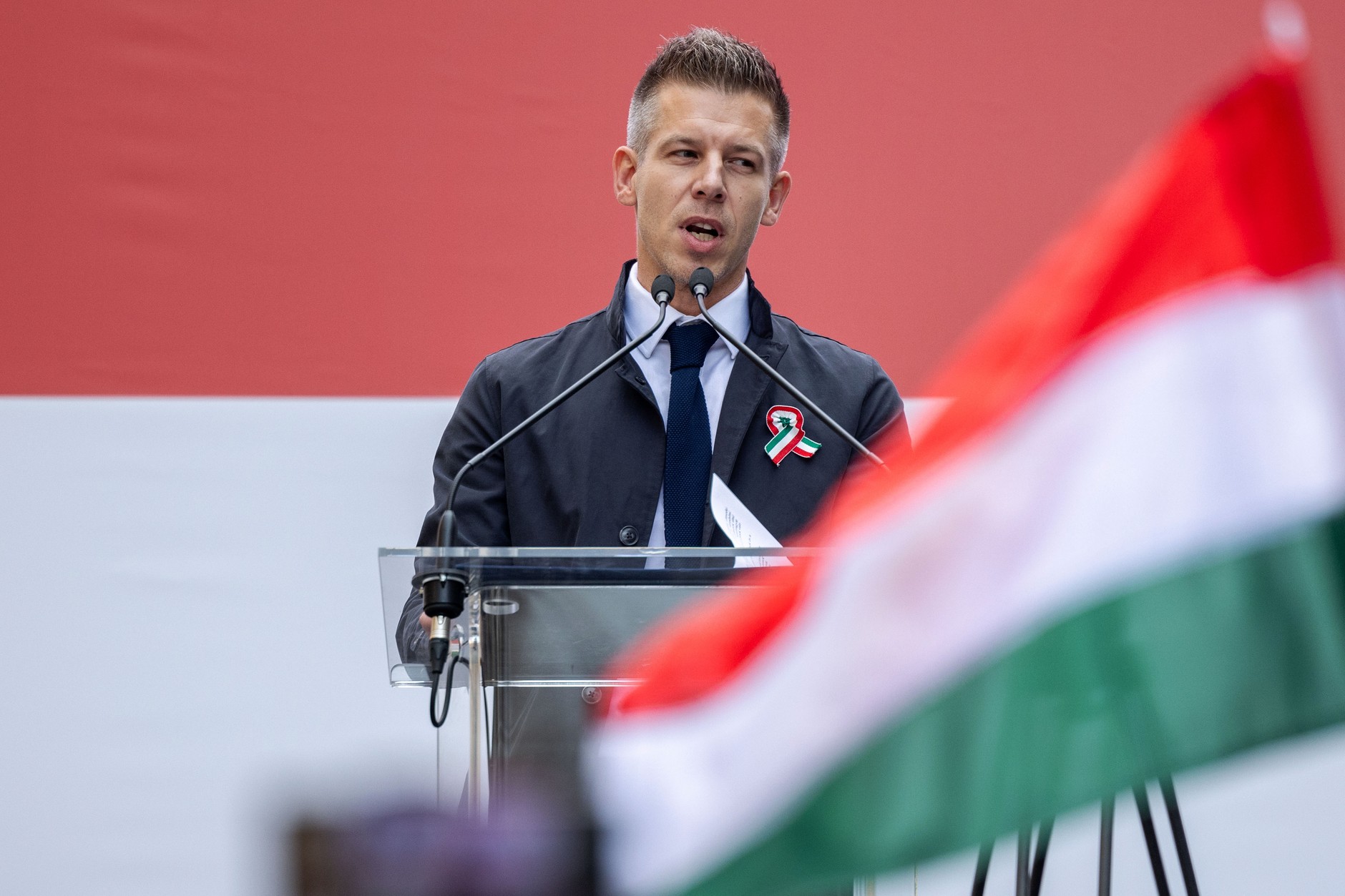 Peter Magyar