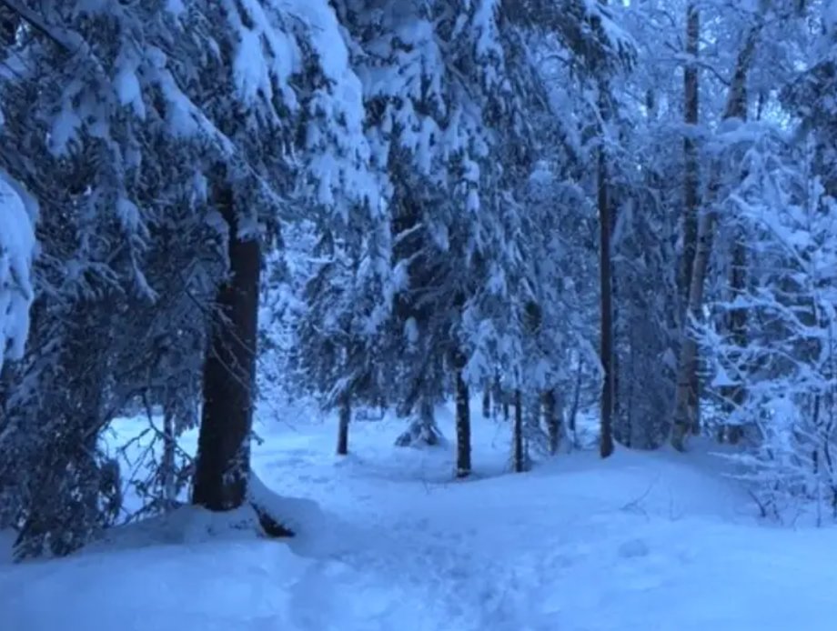 Many Alaskans travel to other states, especially during the colder months