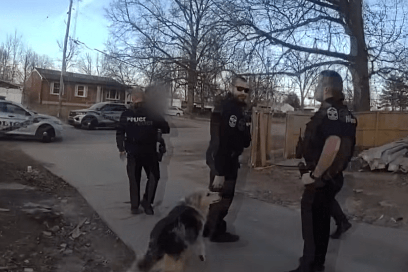 VIDEO A dog that appeared out of nowhere led police directly to a missing 3-year-old boy