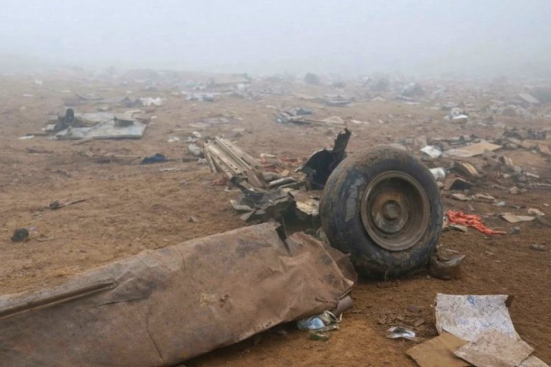 A dog, the sole survivor of the plane crash in Peru. 15 people died after a helicopter crashed