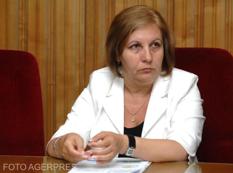 Elena Mateescu, director of ANM, Photo: Agerpres