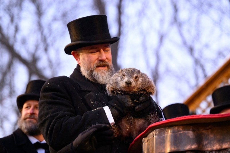 VIDEO Groundhog Phil, made famous with the movie 