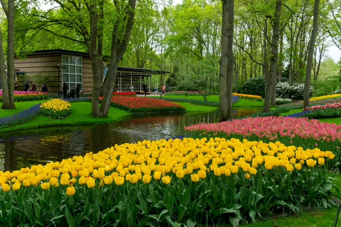 An oasis of peace and fragrance. PHOTO: Unsplash