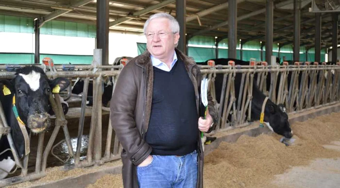 Adrian Porumboiu, at his cow farm PHOTO Mediafax