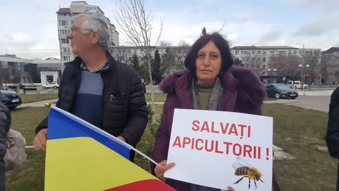 Beekeepers say they do not benefit from any kind of support PHOTO: A. Mitran