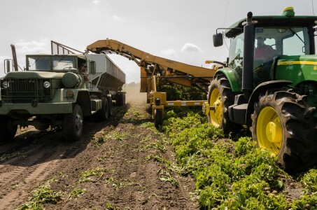 New big investor in Romania - Son of Ukrainian grain magnate Oleksii Vadaturski, killed in a Russian bombing, brings Nibulon to the local market