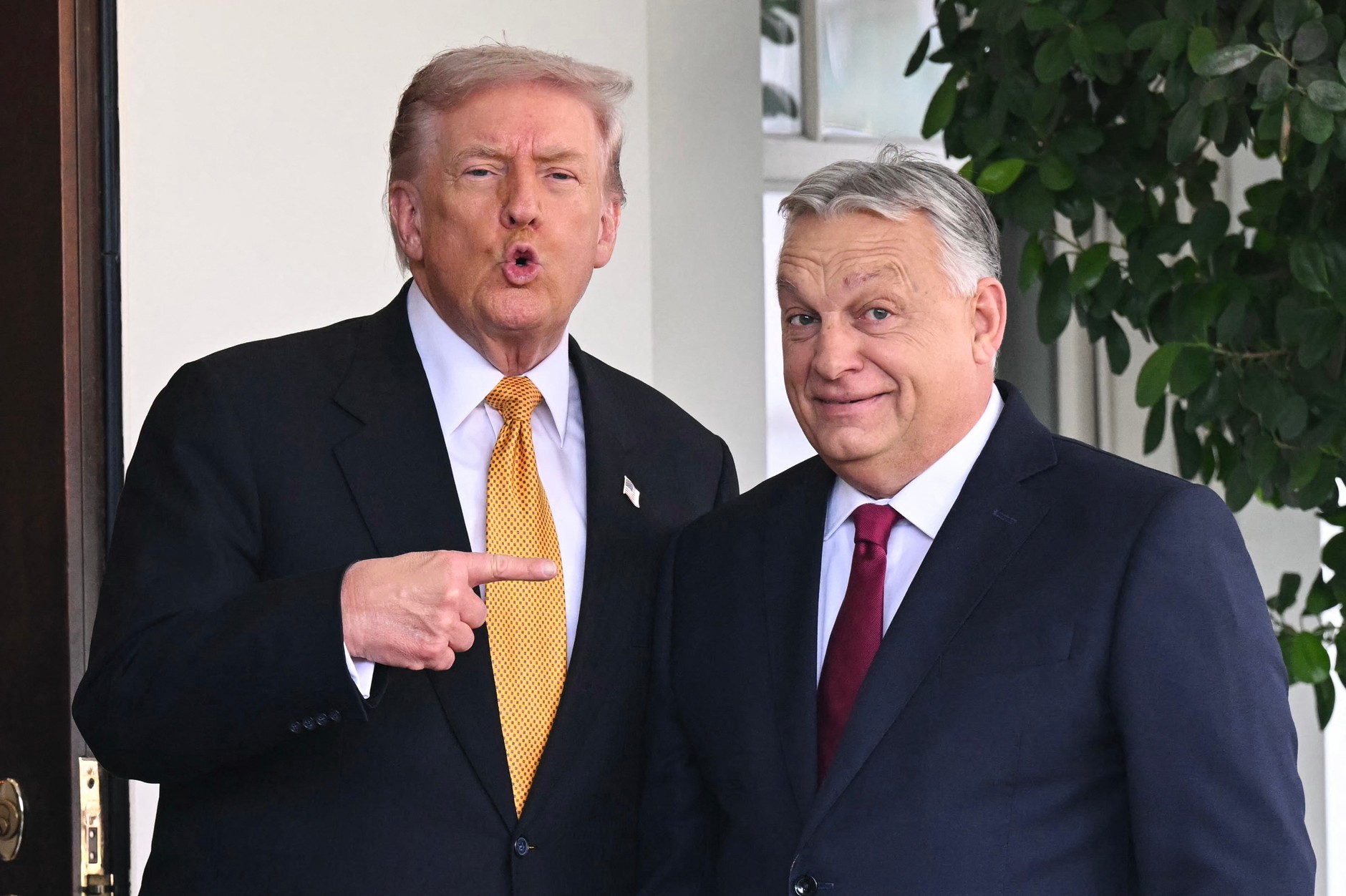 US President Donald Trump welcomes Hungarian Prime Minister Viktor Orban at the White House, Washington, November 7, 2025. 