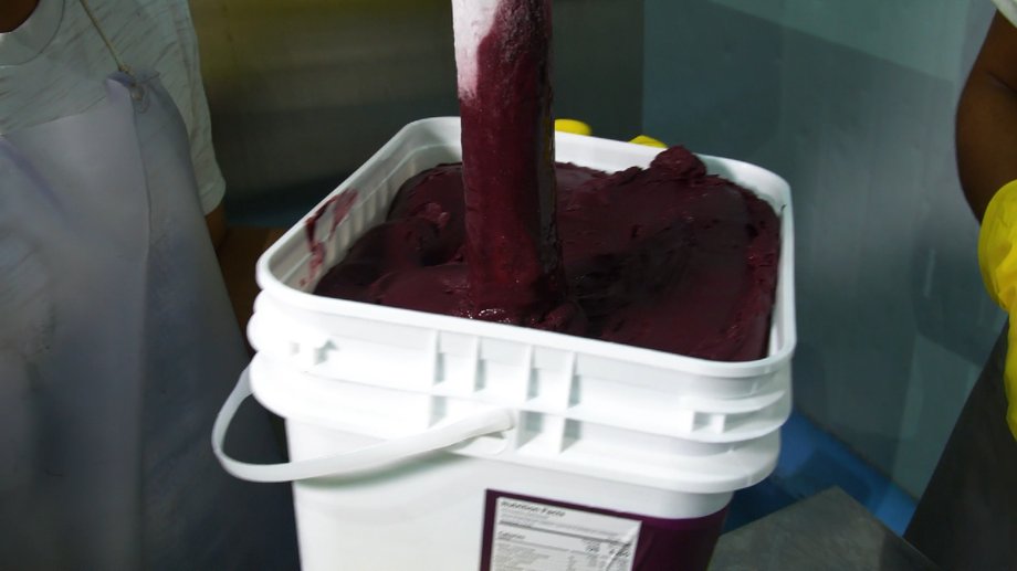 Every day, 22 tons of fruit are processed into frozen pulp