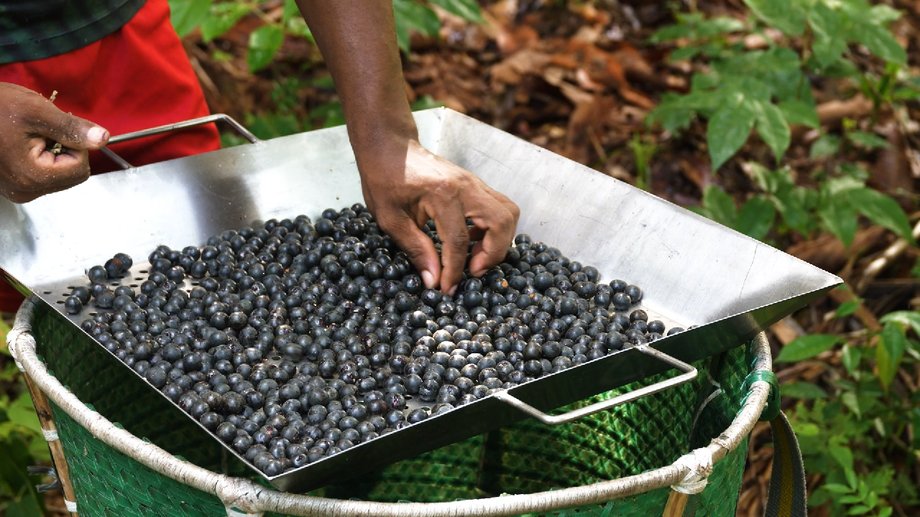 There have been claims that açaí can solve all kinds of health problems