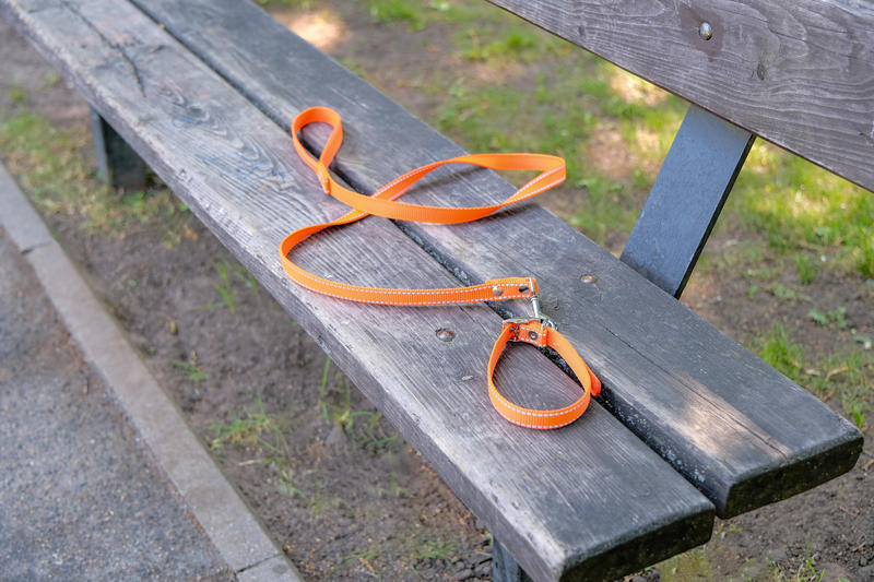 Leash of a dog lost by its owner, Photo: Marina Gordejeva | Dreamstime.com