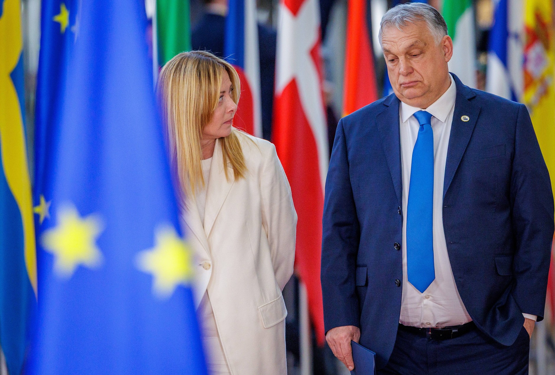 Giorgia Meloni, Viktor Orban