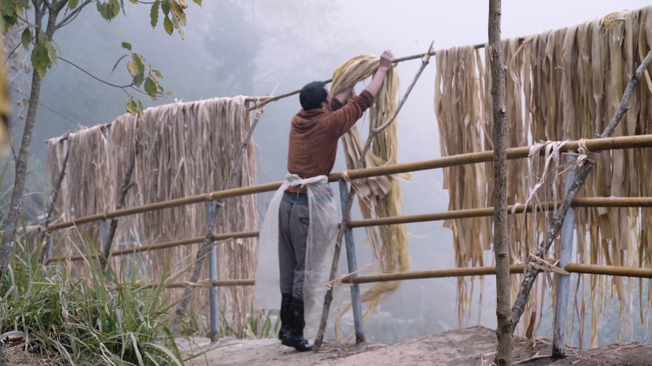 Workers spread the bark in the sun. If it's cloudy, it may take two days to dry