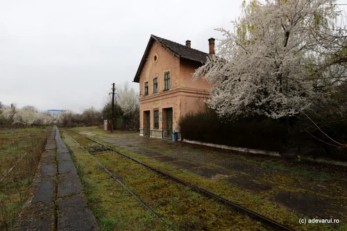 Hațeg Caransebeș railway Photo Daniel Guță THE TRUTH (6) JPG