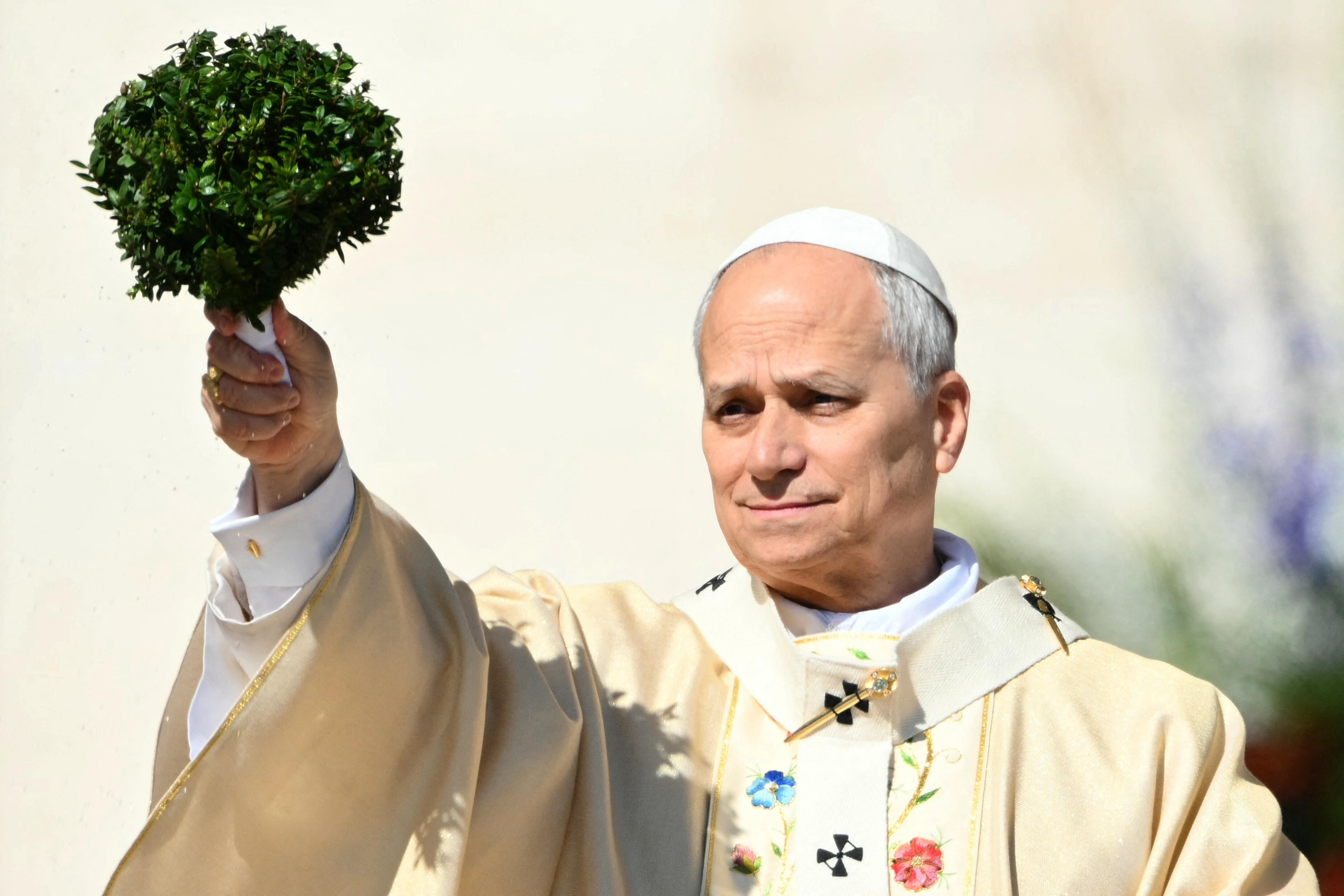 Pope Leon PHOTO: X