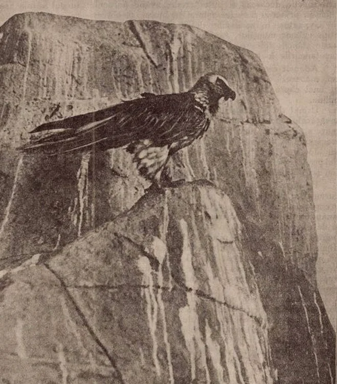 Zagan. Source: Carpathi magazine, 1930s