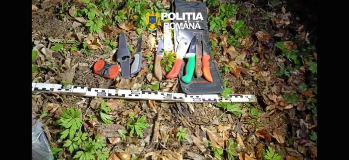 Weapons discovered in the forest PHOTO: IPJ Braşov