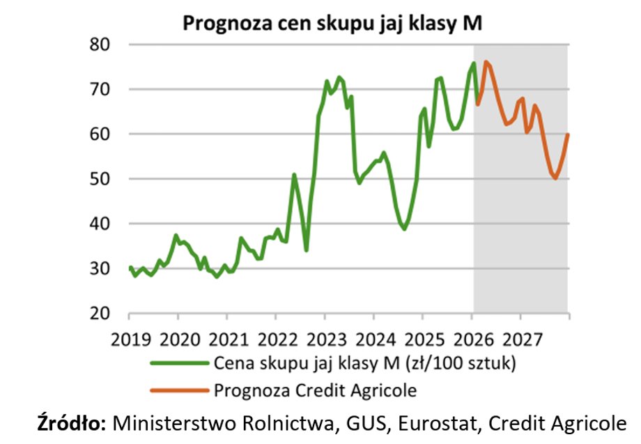 Credit Agricole economists forecast egg purchase prices