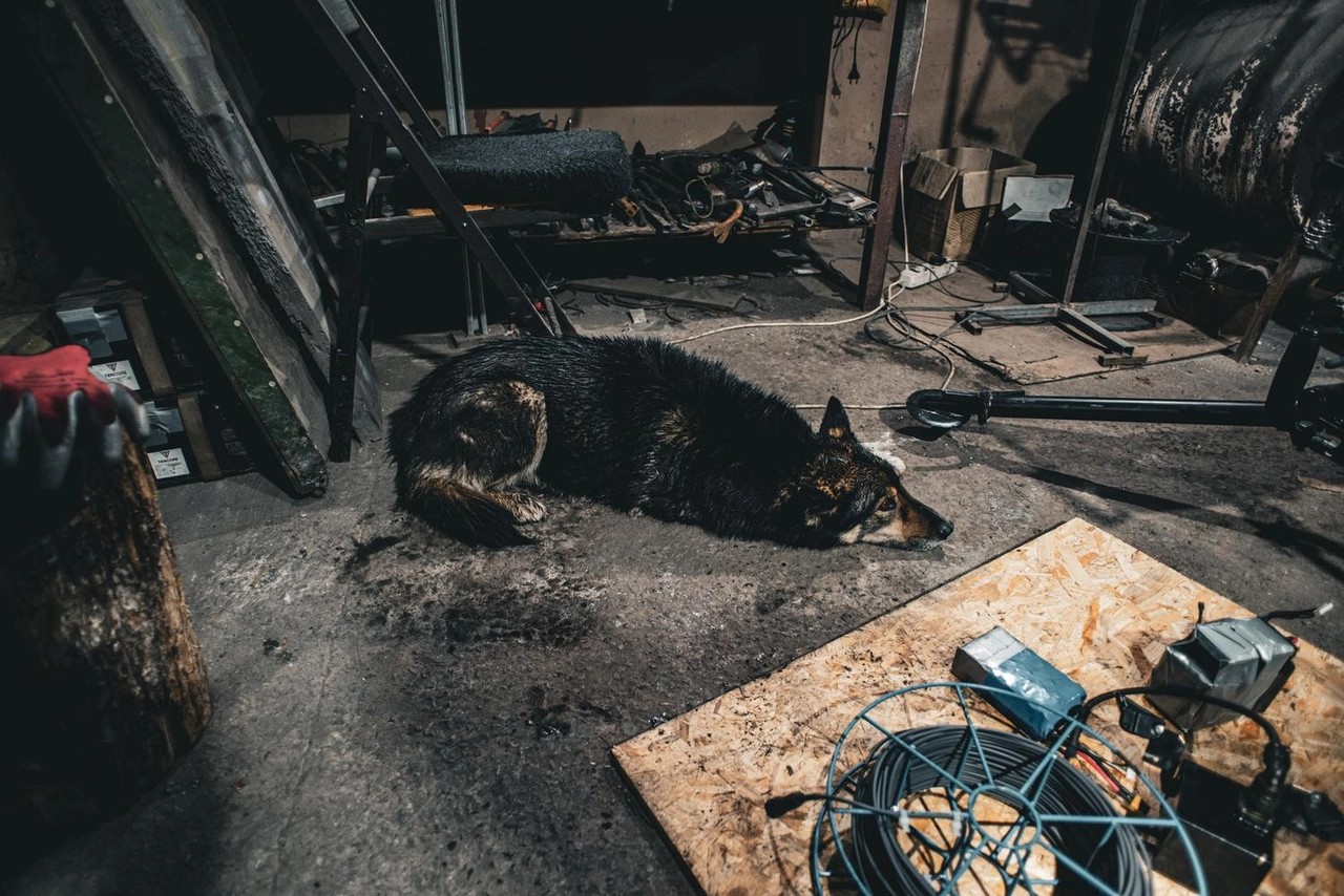 A three-legged dog that was injured by gunfire in a workshop where Chartia Brigade soldiers build unmanned ground vehicles near Kharkov.