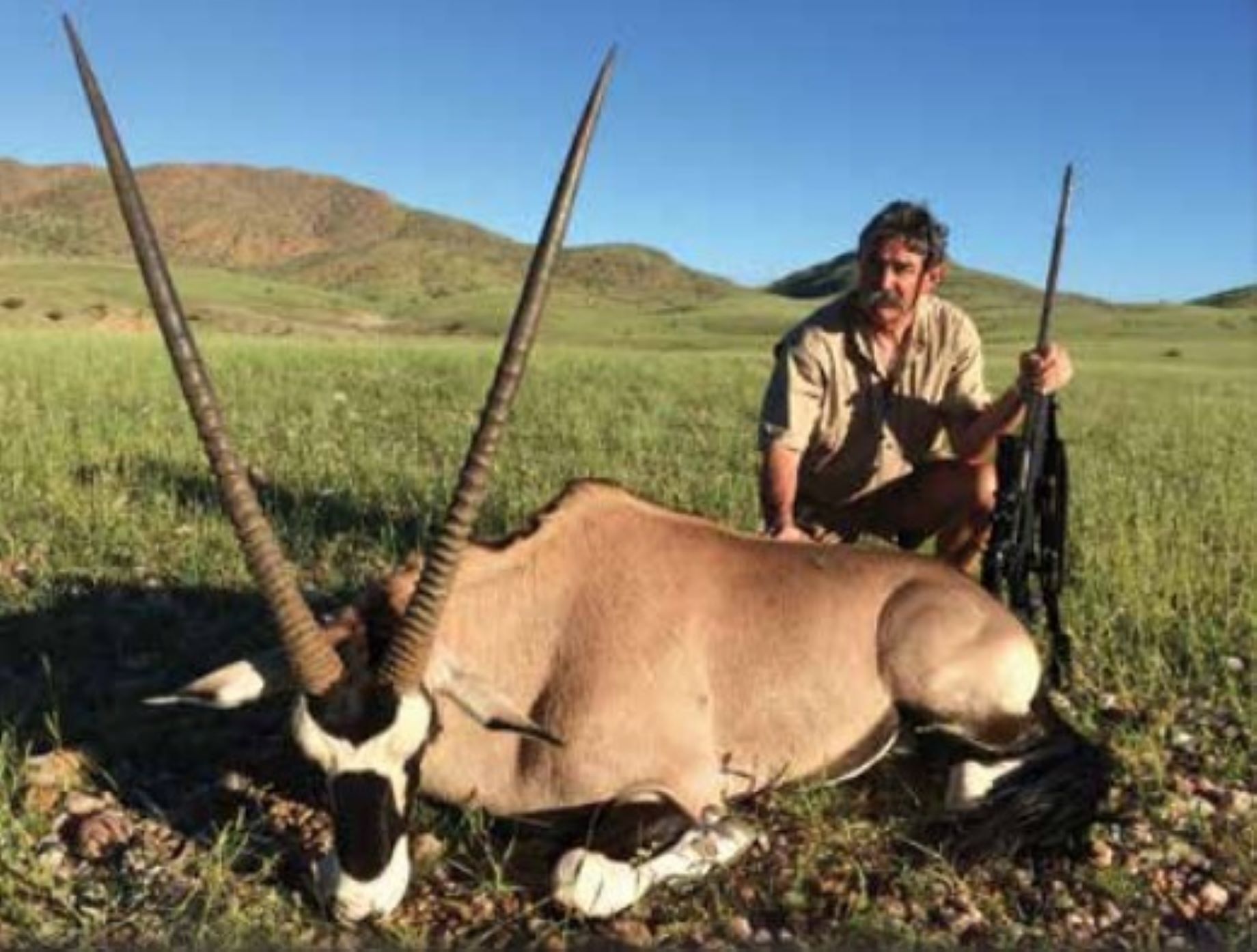 Millionaire trampled to death by five female elephants in Gabon