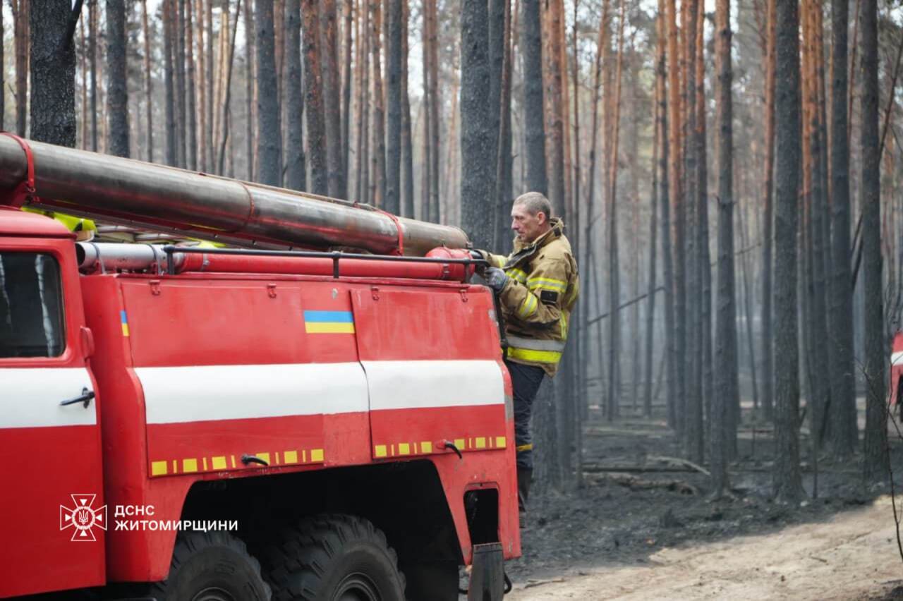 In the Zhytomyr region, a large-scale forest fire continues in a nature reserve. Photo