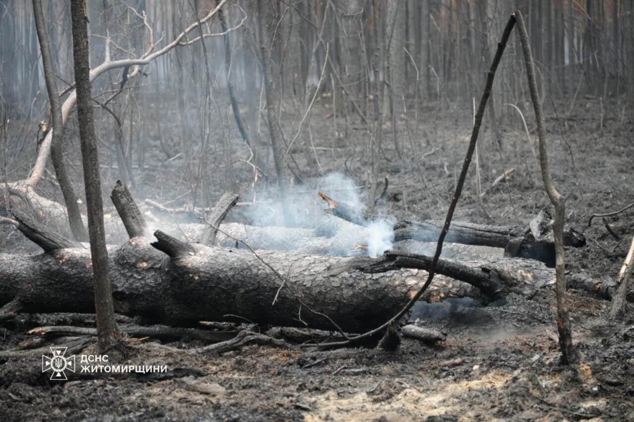 In the Zhytomyr region, a large-scale forest fire continues in a nature reserve. Photo