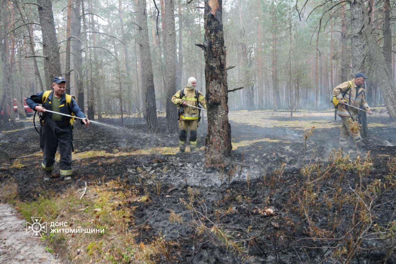 In the Zhytomyr region, a large-scale forest fire continues in a nature reserve. Photo