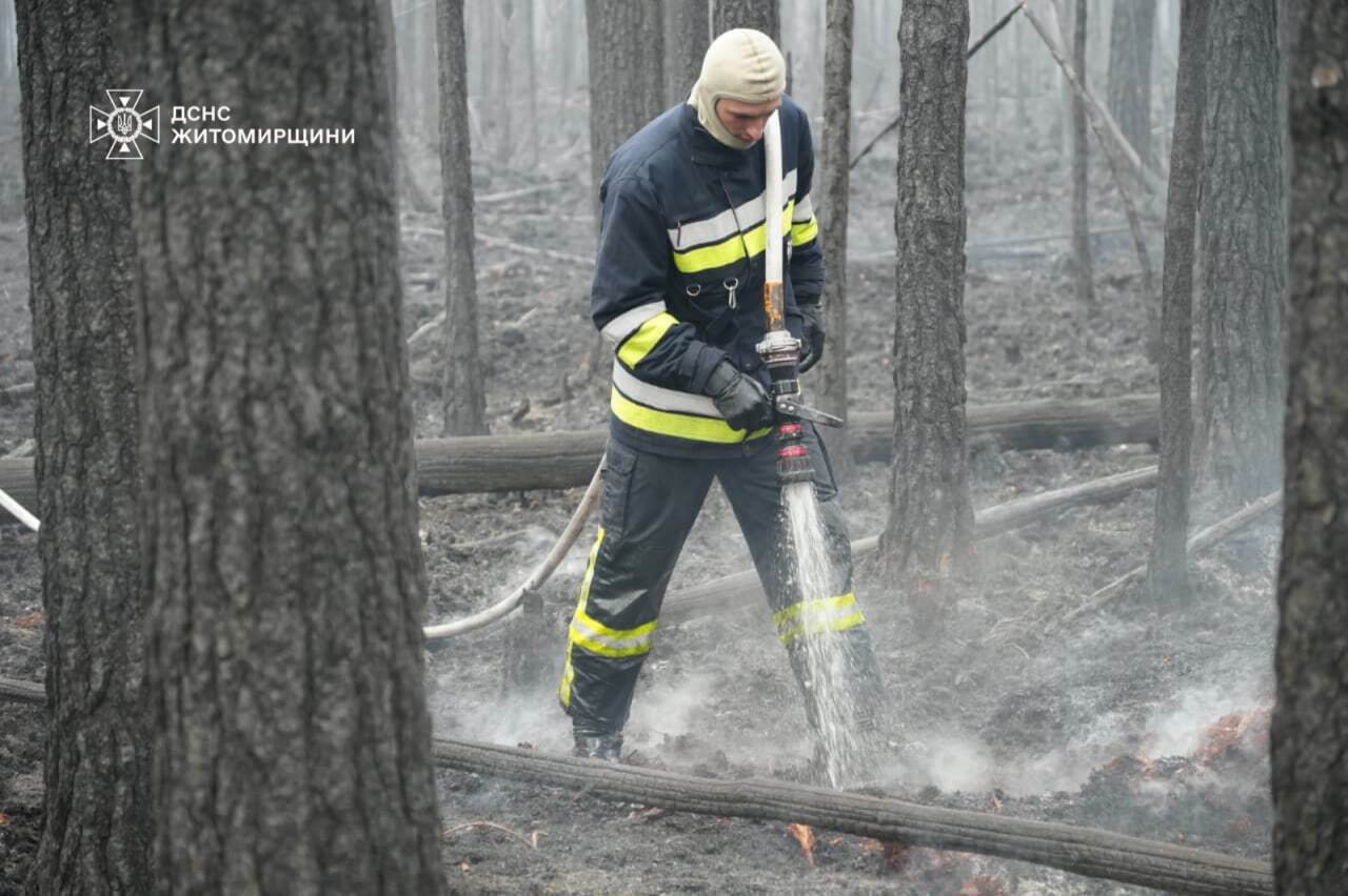 In the Zhytomyr region, a large-scale forest fire continues in a nature reserve. Photo