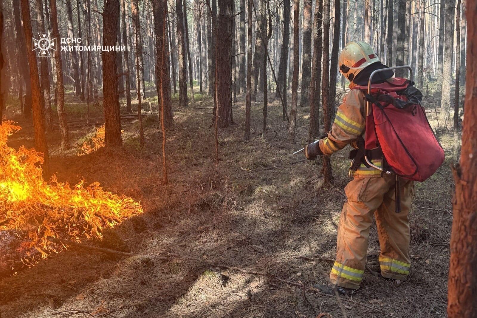 In the Zhytomyr region, a large-scale forest fire continues in a nature reserve. Photo