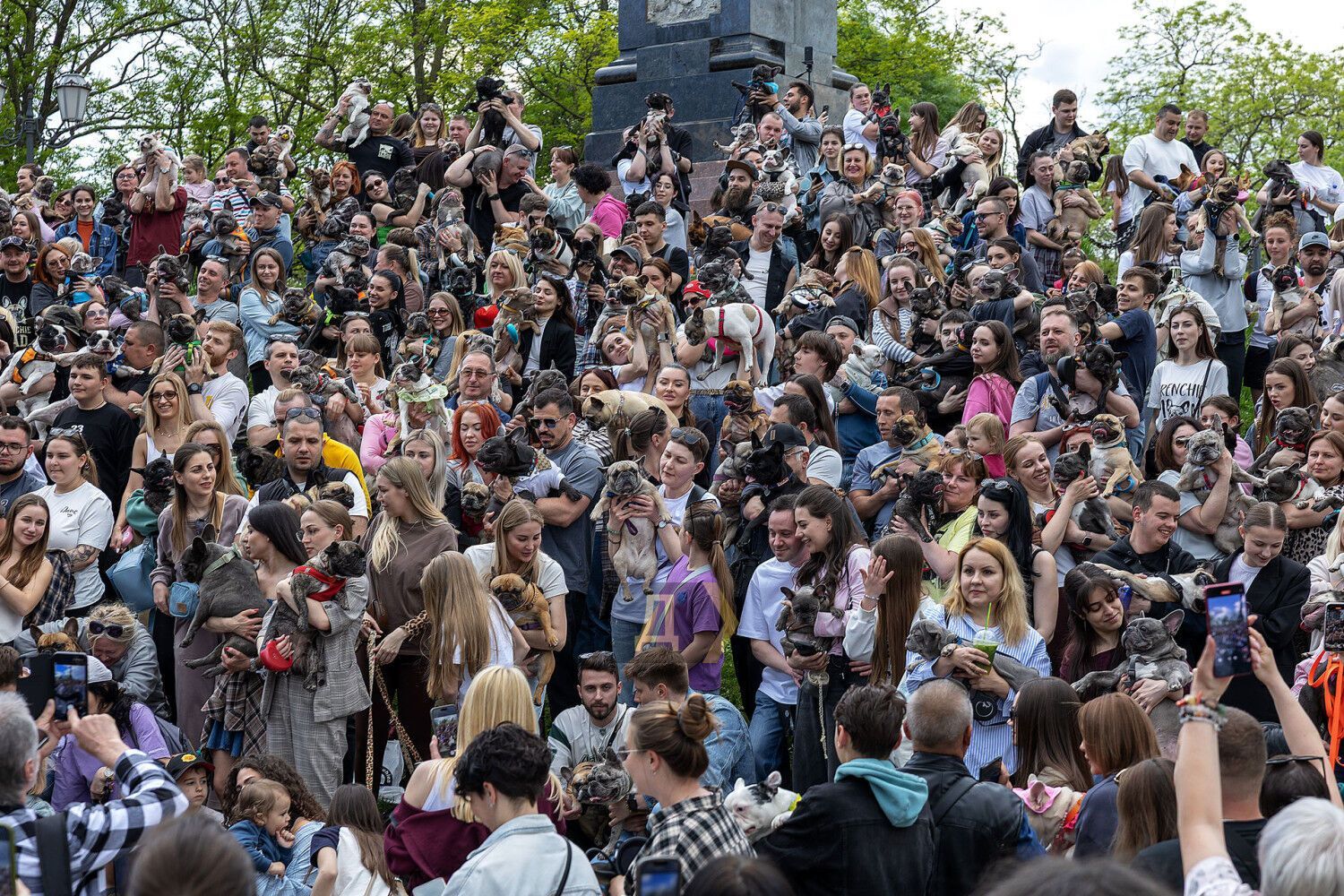 ''This is not a dog, but a child.'' A Ukrainian record for the number of French bulldogs was set in Odessa