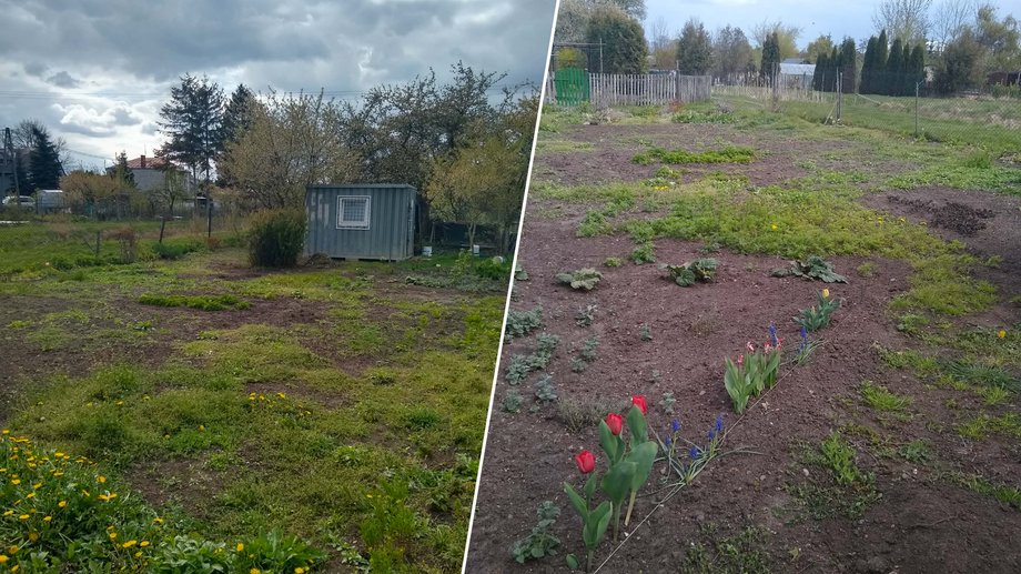 Magdalena's undeveloped plot