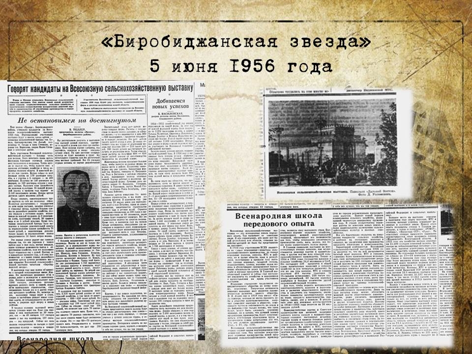 Newspaper clippings 