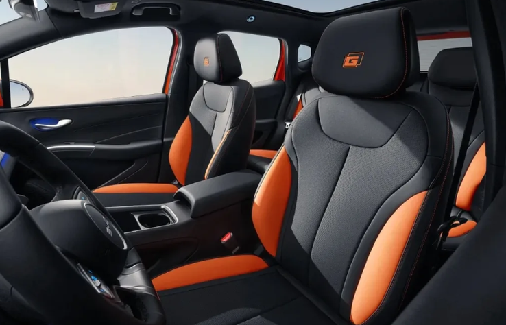BYD Dolphin G DMs