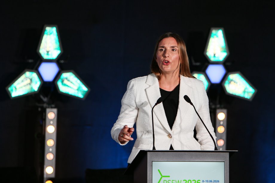 Magdalena Sobkowiak-Czarnecka on June 8 at the PWEA conference in Świnoujście