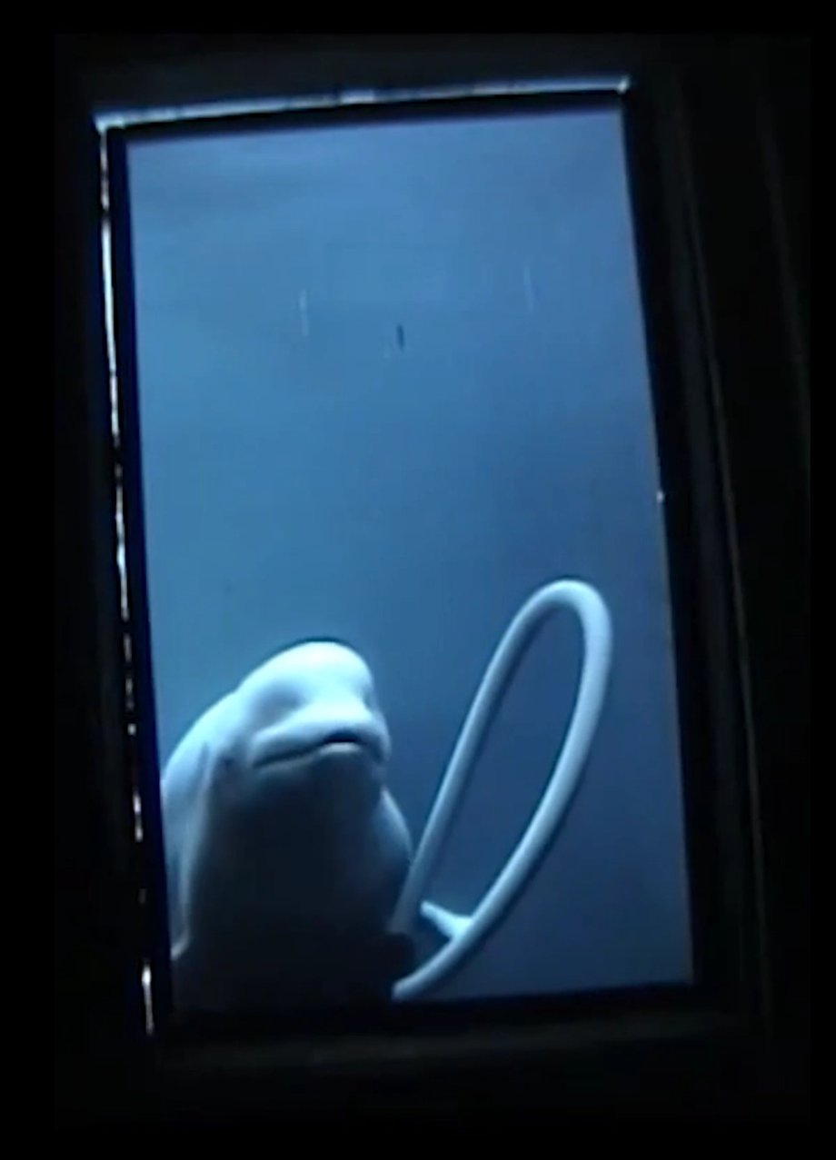 Natasha plays with a toy in front of the mirror