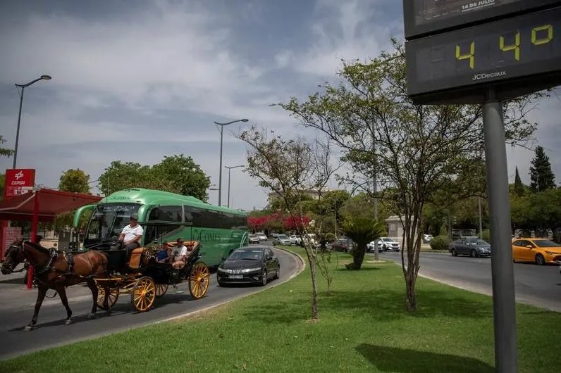 Over 200 Deaths in Spain Attributed to Recent Heatwave — At least 212 deaths in Spain from Sunday to Wednesday linked to
