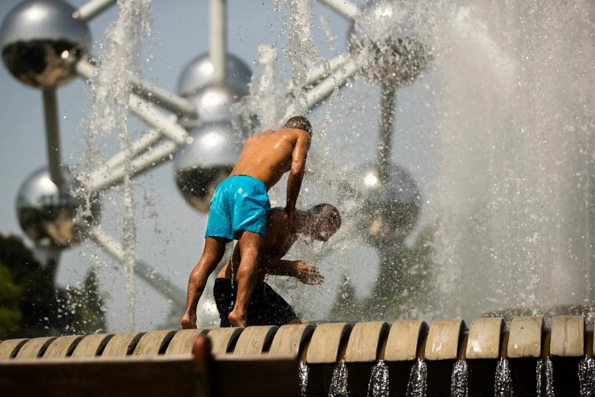 Belgian Defense Minister Faces Backlash for Comments on Heatwave — Defense Minister Theo Francken criticized for joking