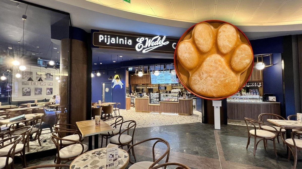 E.Wedel Introduces Artisan Ice Cream for Dogs — E.Wedel launches artisan ice cream for dogs made from simple ingredients