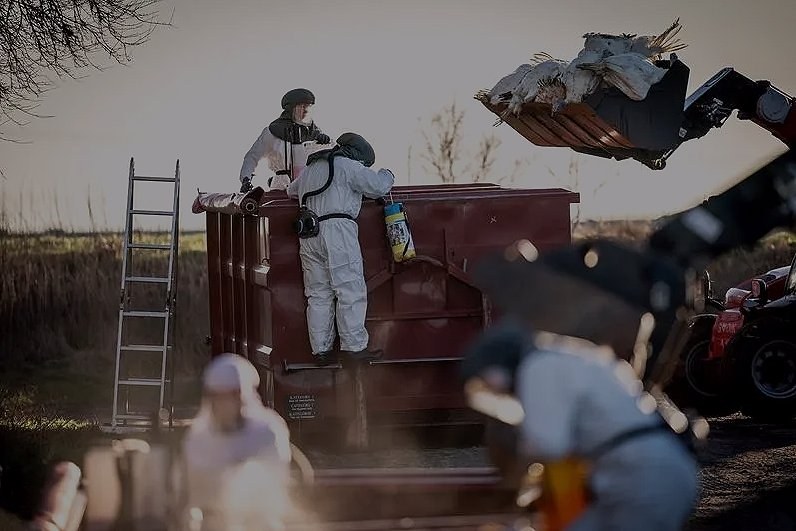 Australia Reports First Suspected Case of H5N1 Bird Flu — Australia has detected its first suspected case of H5N1 avian