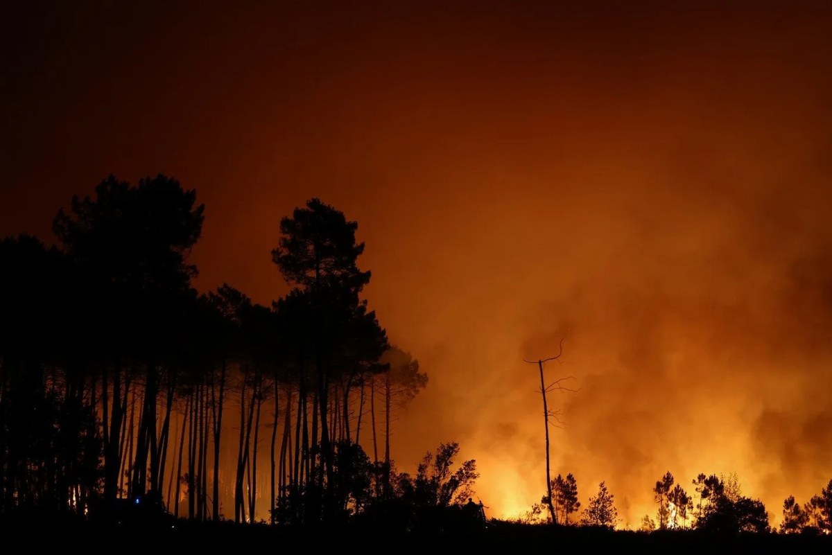 Massive Wildfire in France Forces Evacuation of 12,000 Residents and Tourists — A wildfire in Gironde, France, has led t